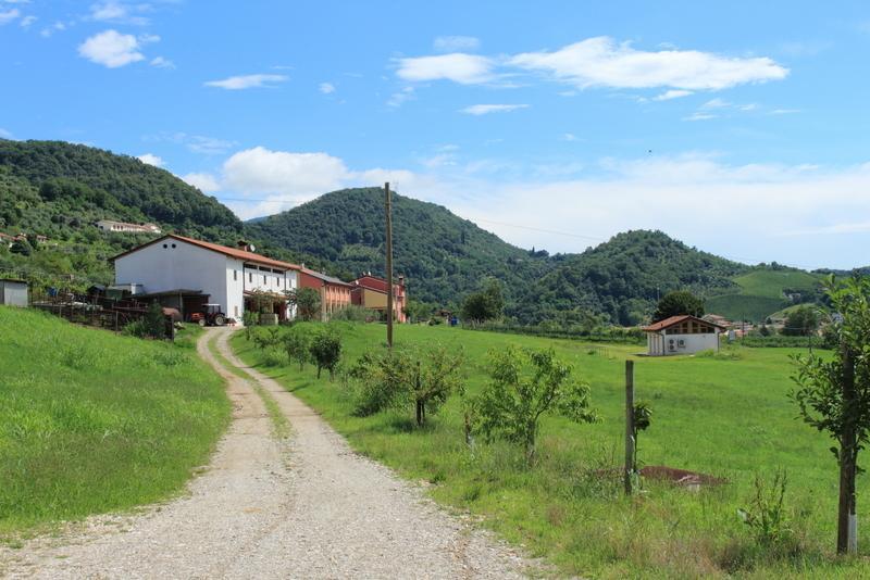 Agriturismo Mazzeracca باسّانو ديل غرابّا المظهر الخارجي الصورة