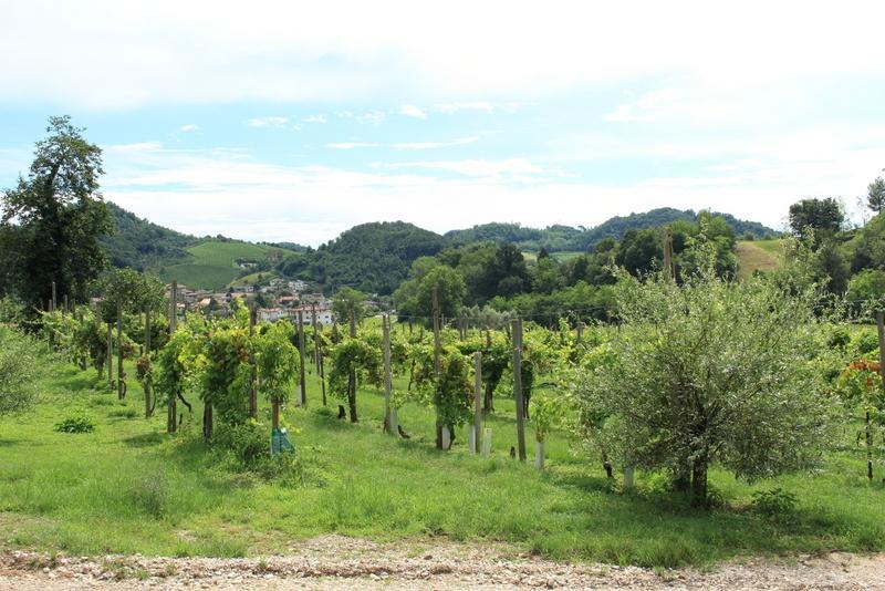 Agriturismo Mazzeracca باسّانو ديل غرابّا المظهر الخارجي الصورة