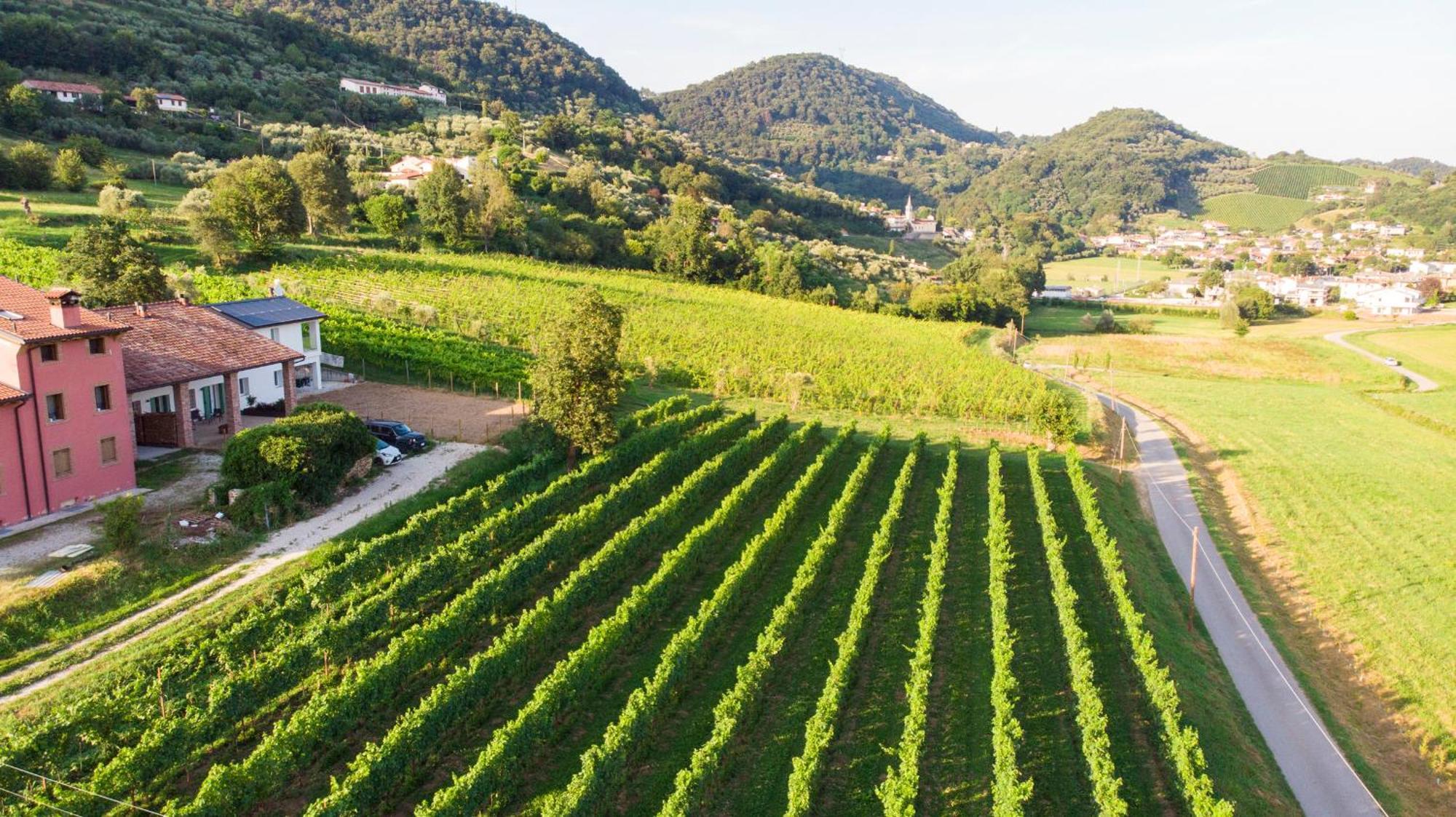 Agriturismo Mazzeracca باسّانو ديل غرابّا المظهر الخارجي الصورة